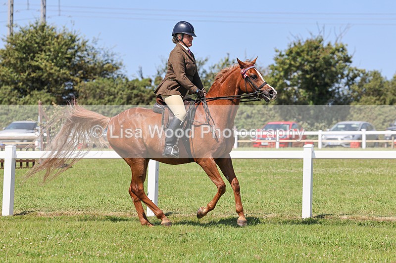 IMG_2247 - Class 37: Pure, Anglo & Part Bred Ridden Arab