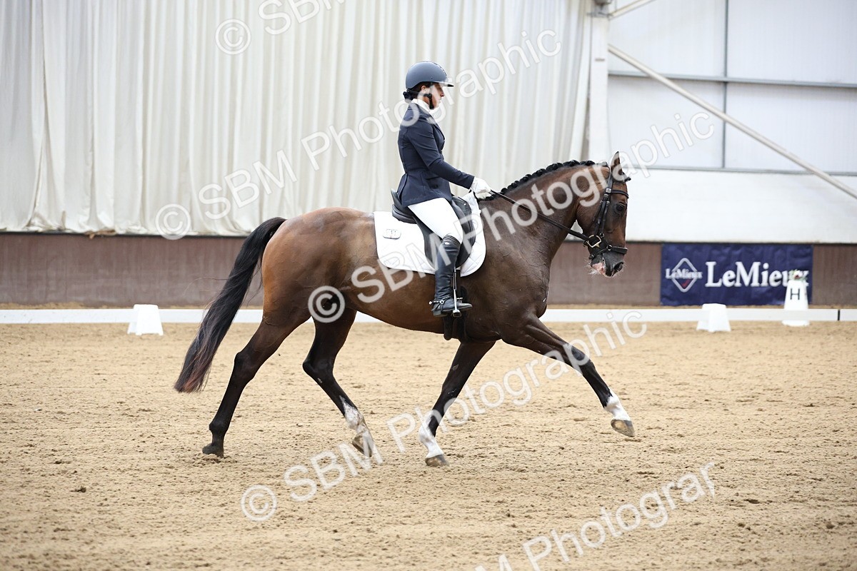 SBM_002848 - Class 5 - Novice 6 Gold - 10.24-11.30