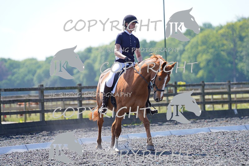 _DSC4215 - ELEM 1