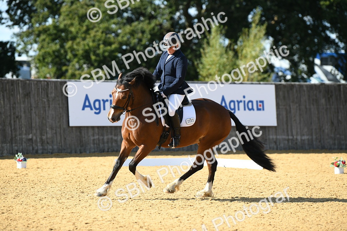 SBM_25038 - D13 - Grand Tour Championship - Prelim 12