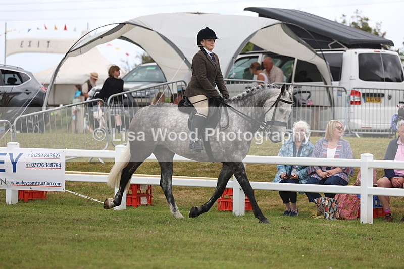 3E7A1392 - Class 9: Open Hunter