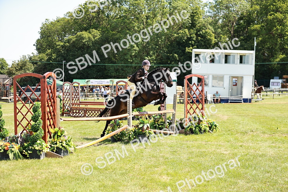 SBM_17645 - Class 112-113 - BSPS LIHS Working Sports Pony