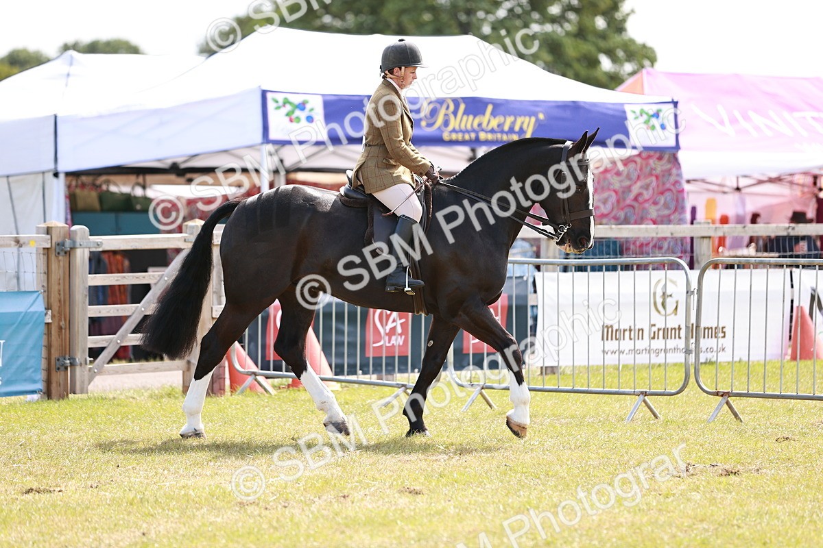 SBM_14009 - Class 85-87 - RIHS Cobs