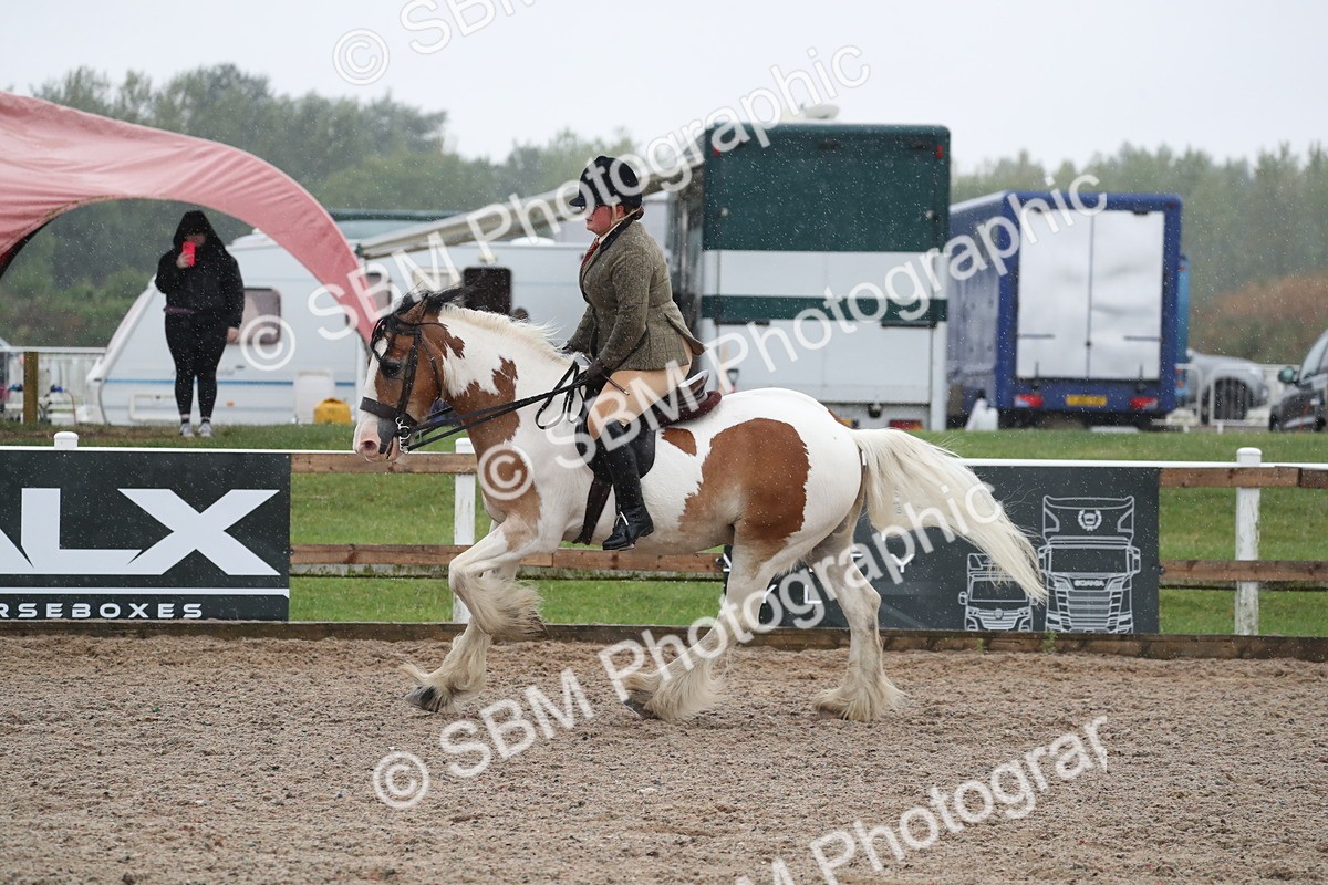 SBM_20449 - Class 601 - 2025 Area - Ridden Diamond
