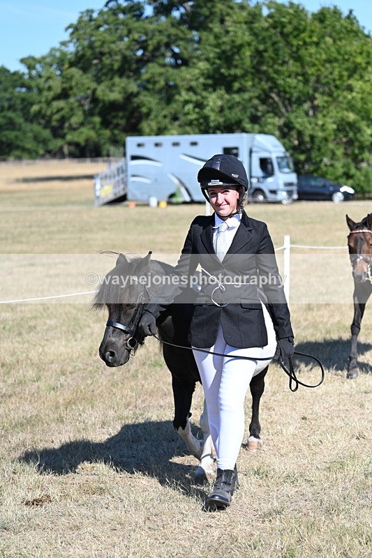 WJ7_1854 - Class 43 Best Six Legs (In hand)