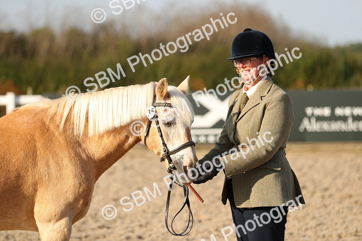 SBM_08953 - Class 29 IH Veteran Pony