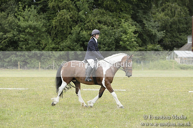 BVR160717-1372 - Class 3 Dressage 16/07/17