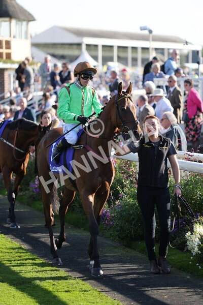 yr08102021r3-12 - Race 3 3.15pm Download The Casumo App Today Handicap