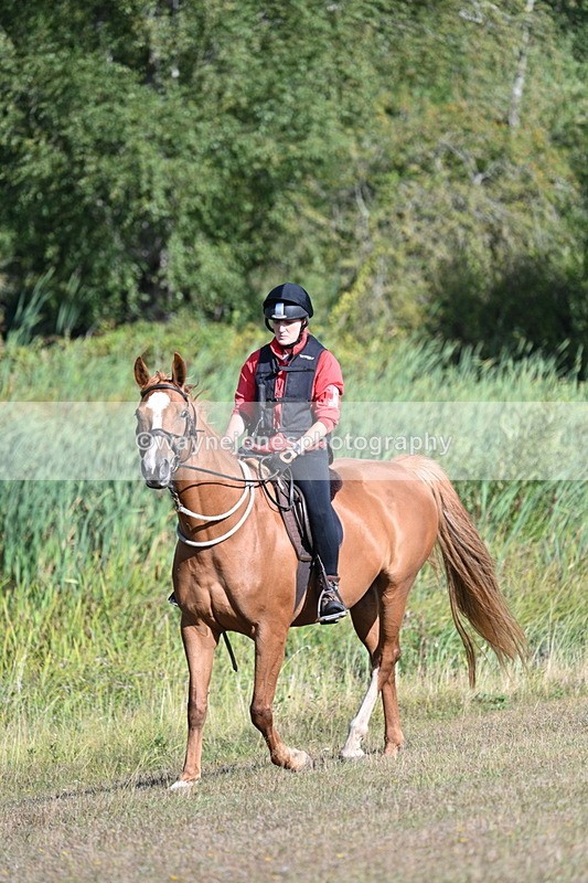 WJ7_3191 - Time 09:42 to 10:02