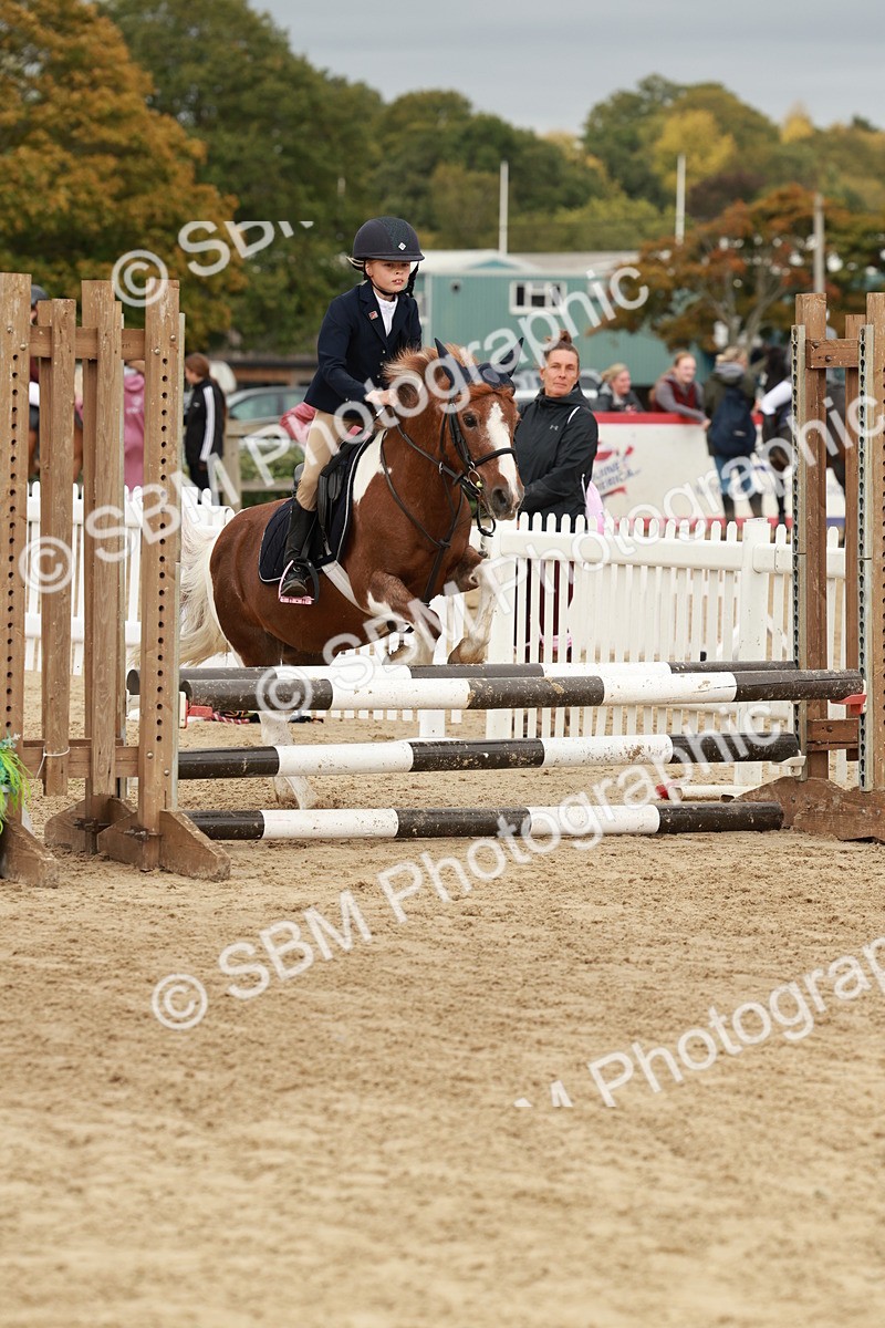 SBM_66977 - J13 - Junior Pony 60cm Championship