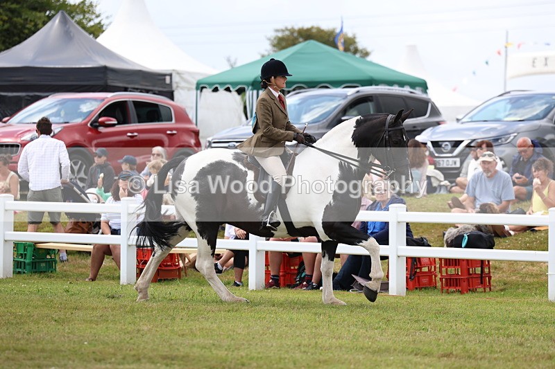 3E7A1911 - Class 10: Open Cob