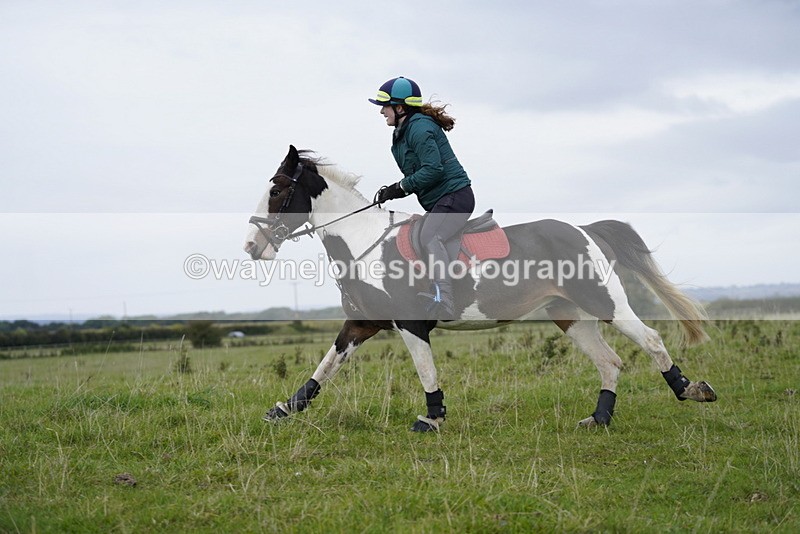 _DSC5468 - Time at Photographer 09:16 to 09:37