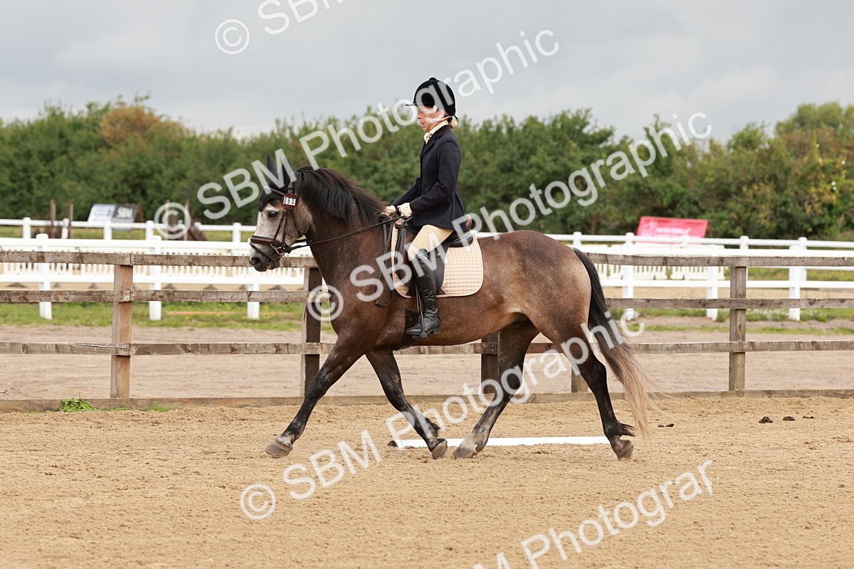 SBM_002380 - Prelim 2