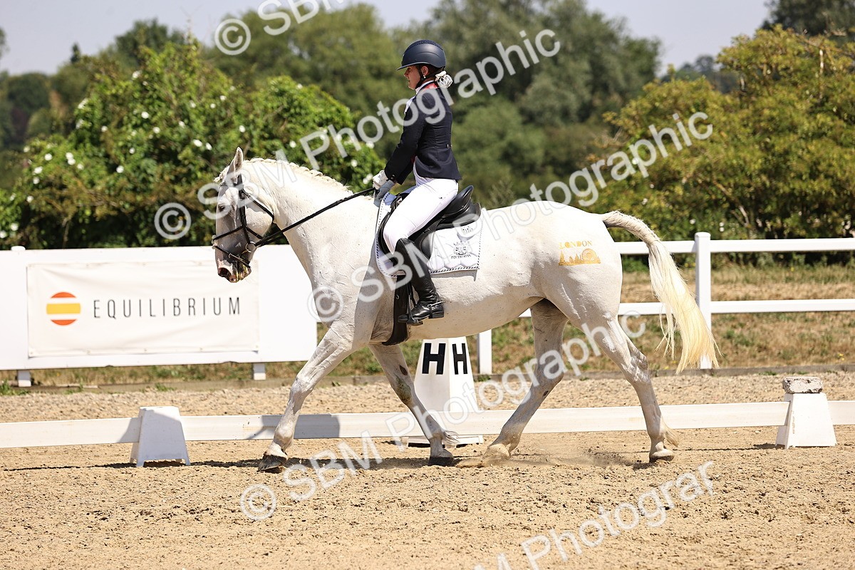 SBM_004121 - Intro 2