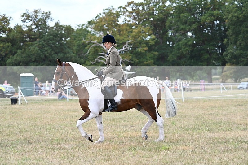 WJ7_4978 - Class 12 Ridden Cob