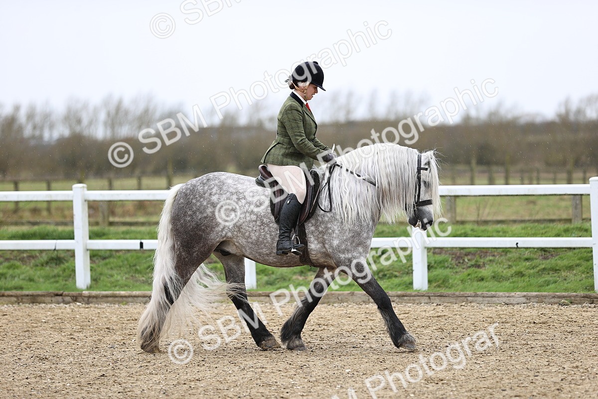 SBM_007494 - Class 31-32 - M&M Confined Novice Small-Large