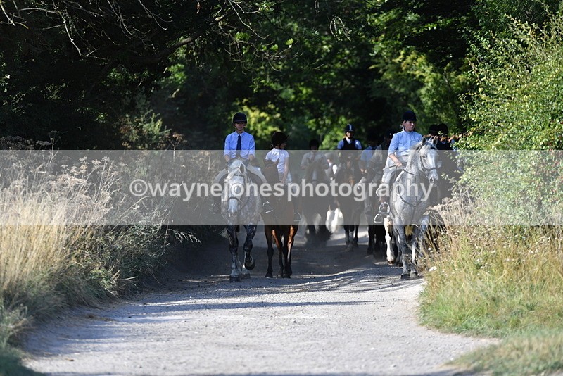 WJ5_4847 - Walk out with the hounds