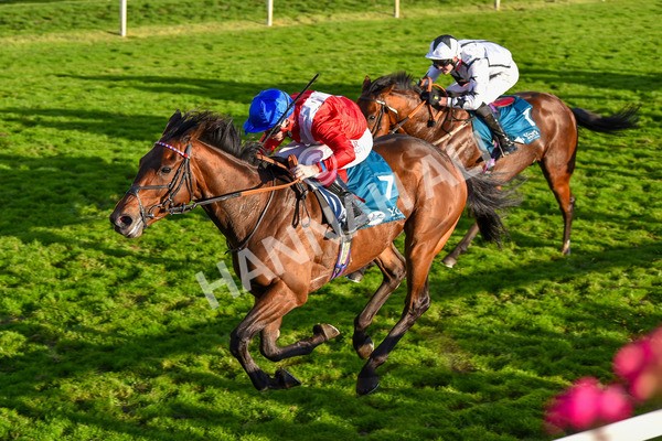 141023-Race 7-Star Ahoy-1666 - Race 7 4.45pm Coral 'Committed To Safer Gambling' Finale Handicap