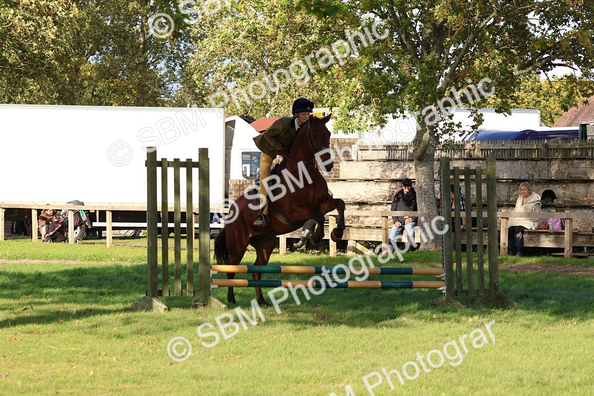 SBM_52549 - S13 - Pony Club Pony