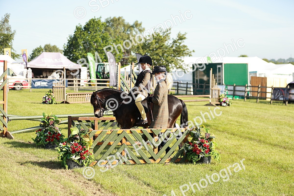 SBM_11209 - Class 106-107 - BSPS LIHS Working Sports Pony