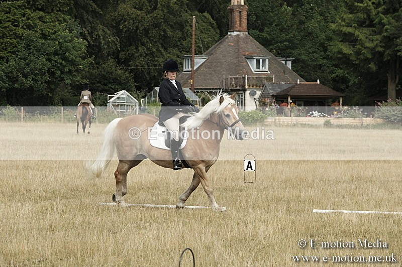 _PJP5722 - Dressage Classes BVRC Show 2018