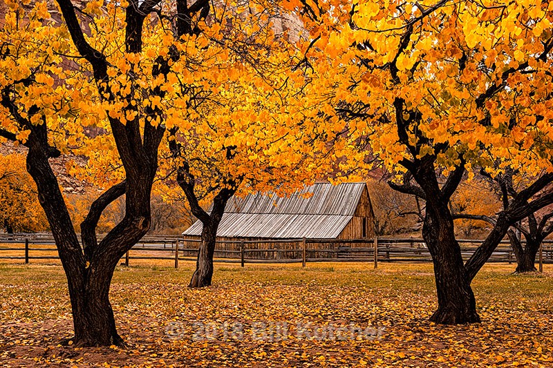 Fruita Barn - Current Show