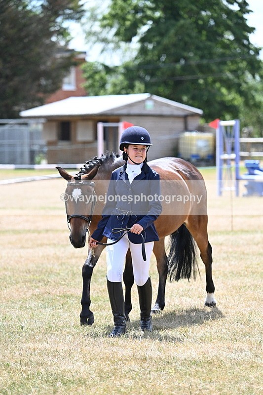WJ7_2151 - Class 5 Most Handsome Gelding (up to 14.2hh) in hand