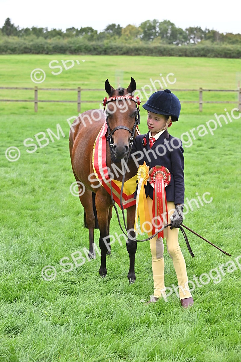 SBM_65019 - In Hand Pony & Younstock Supreme Championship