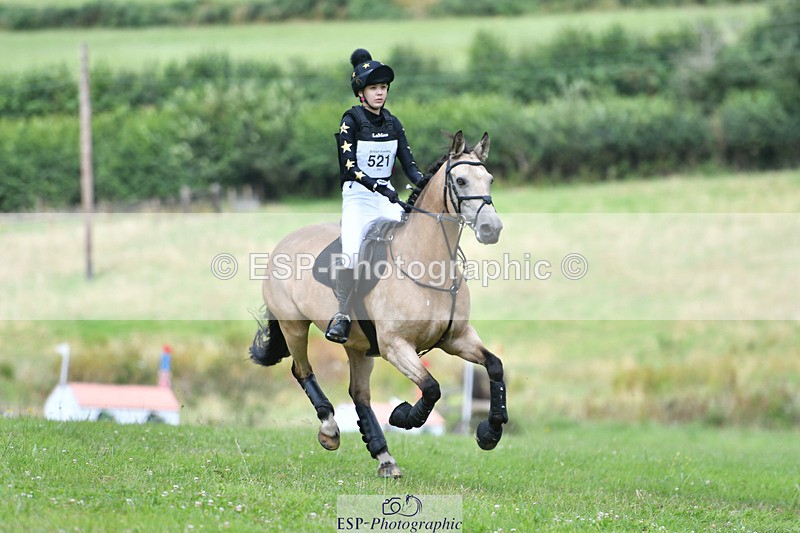 240804-134701-14976 - 521-Lily_Howell-WOODFIELD_GOLD