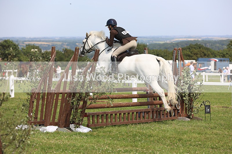 JPP_3715 - Class 23: Working Hunter 80cm