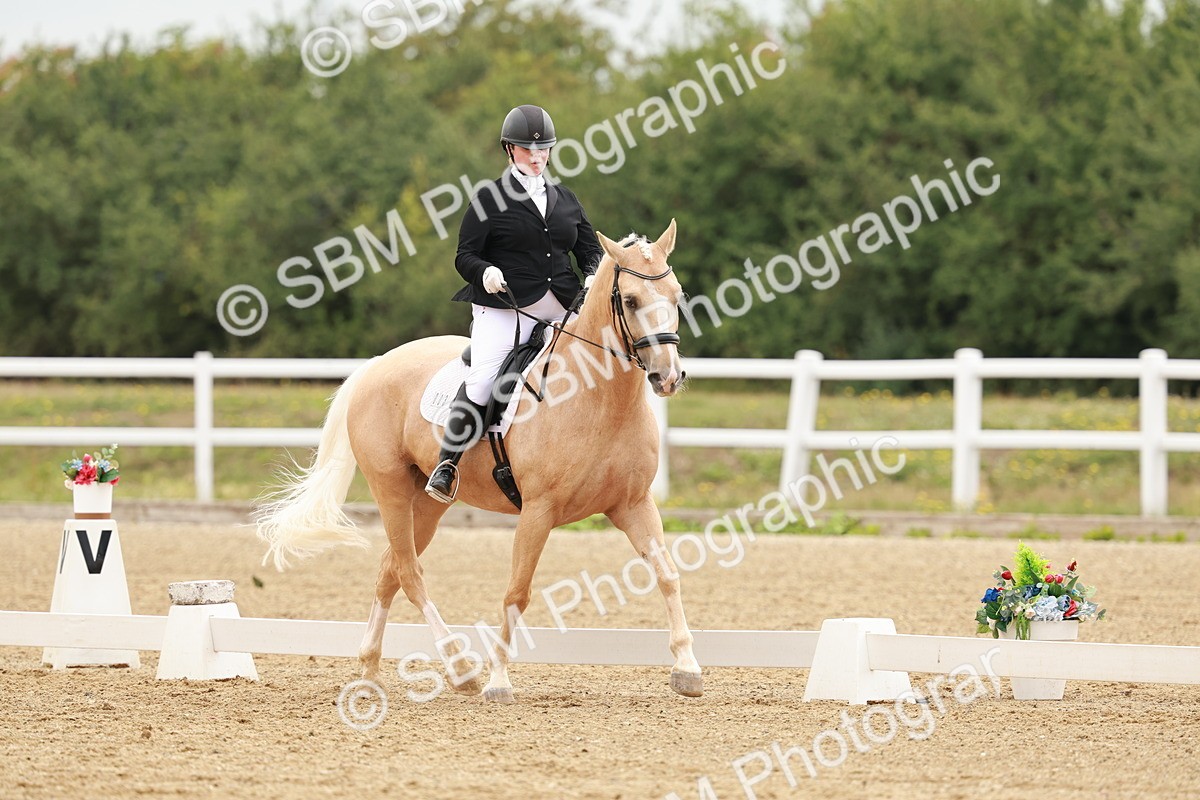 SBM_009113 - Class 12 - Elementary 6 - 9.30-10.34