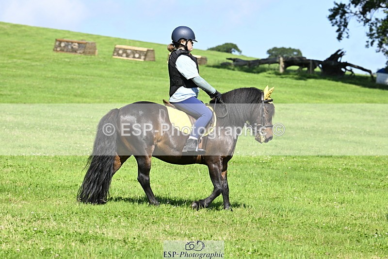 240728B-101652-00620 - Theo's Group XC