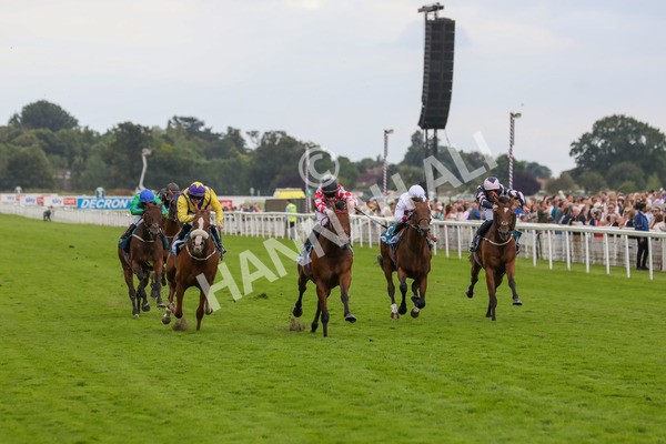 270724-Race 6-Ziggy-4789 - Race 6 5.10pm Sky Bet, For The Fans Handicap