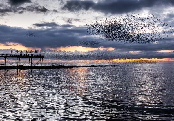 M341 - Snowdonia & Mid-Wales p/c catalogue