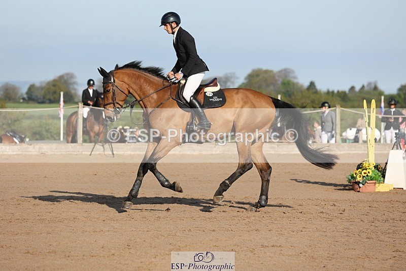 250427-083917-14579 - Cls 28 Young Horse 5yr old