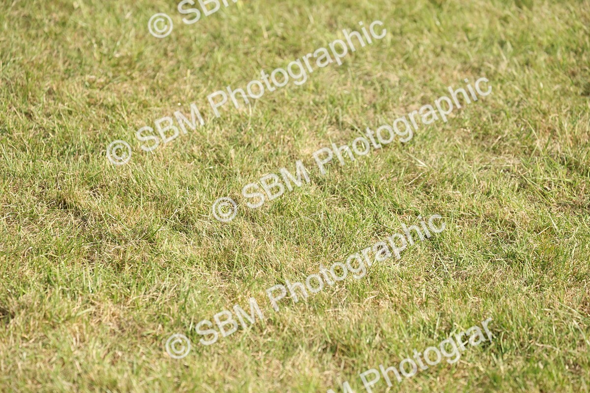 SBM_10413 - Class 33-38 - SSADL RIHS Qualifiers