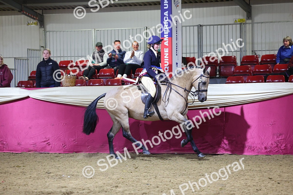 0B8A4613 - Class Q Style & Performance Champ