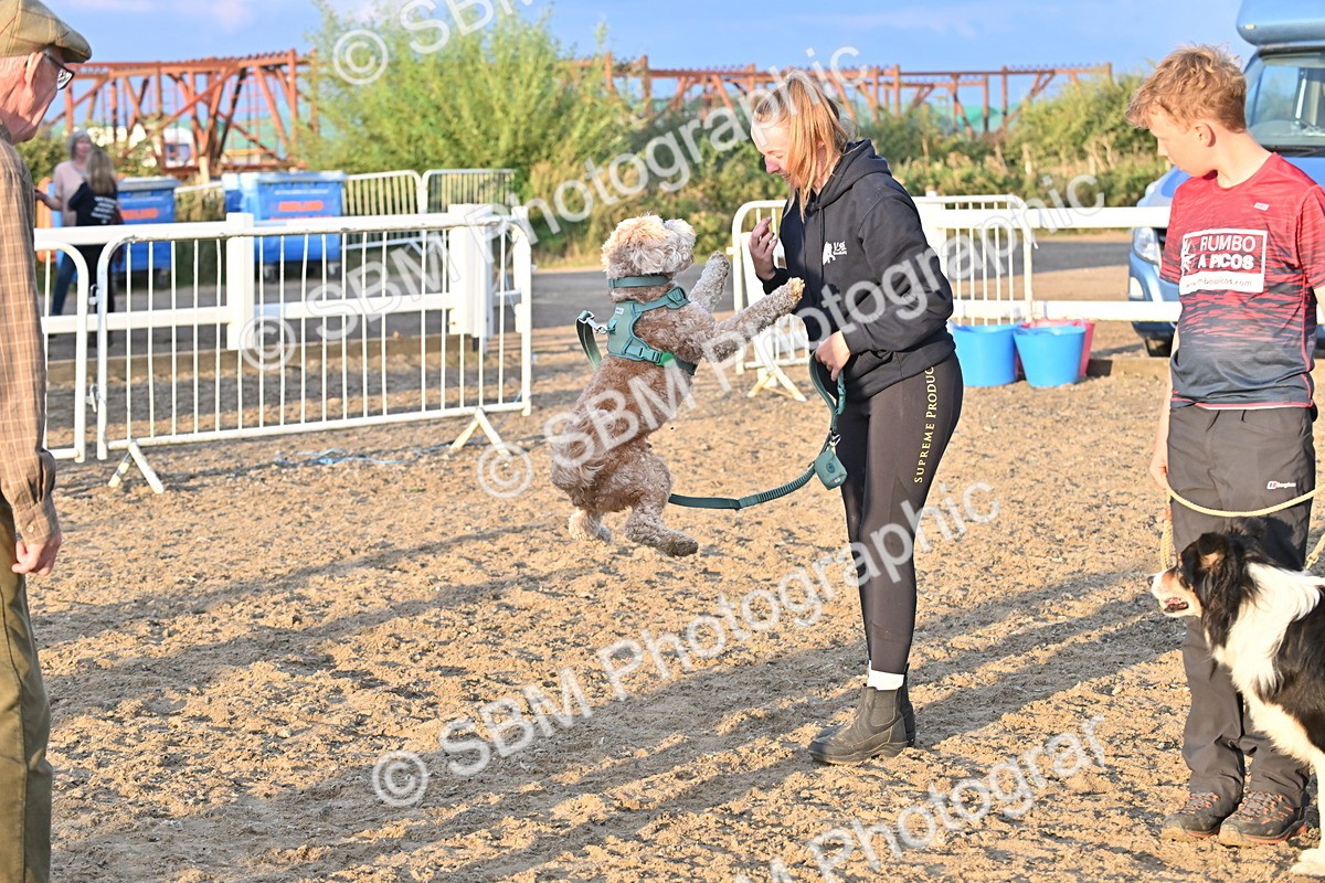 SBM_09646 - Lorry Dogs