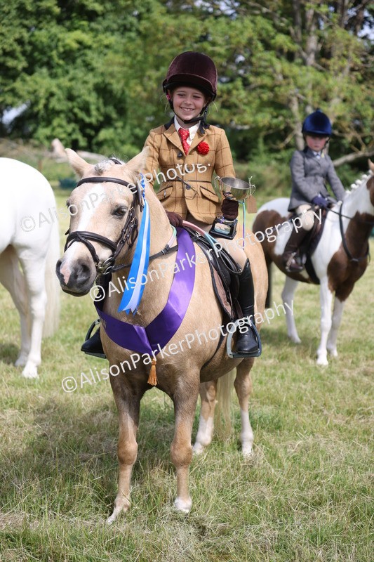 20260614-0845 - Class 20 - Beginners Working Hunter Pony