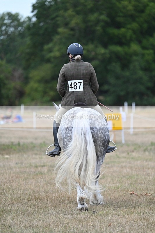 WJ7_4934 - Class 12 Ridden Cob