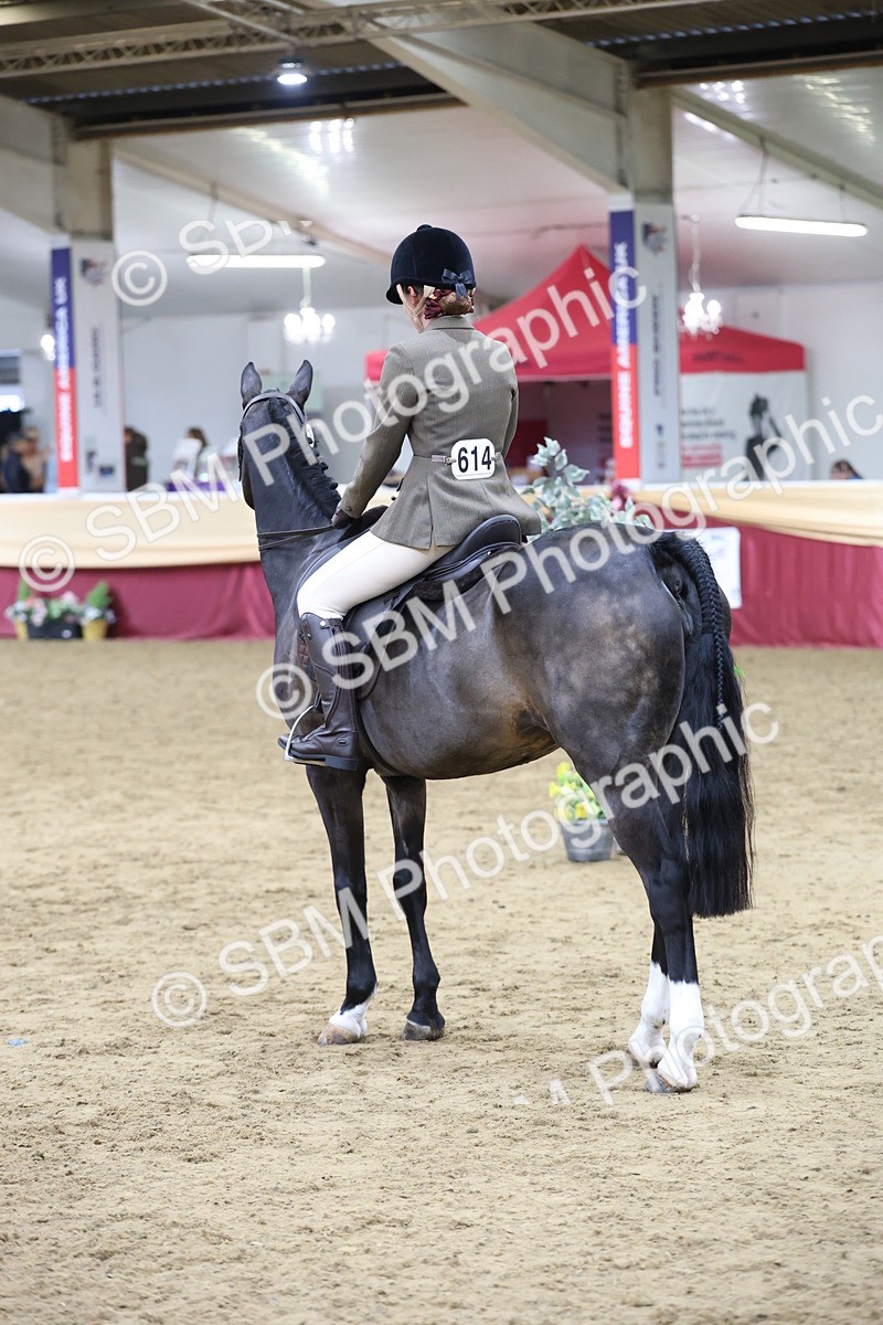 SBM_23618 - Class 904 - Supreme Final - Ridden Diamond