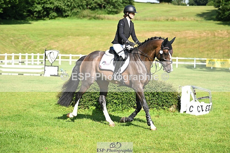 240713-090414-36520 - Cls 205 4 Yr Old Championships