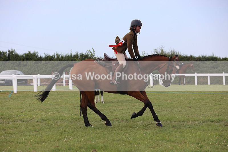 JPP_4145 - Class 24: Working Hunter 90cm