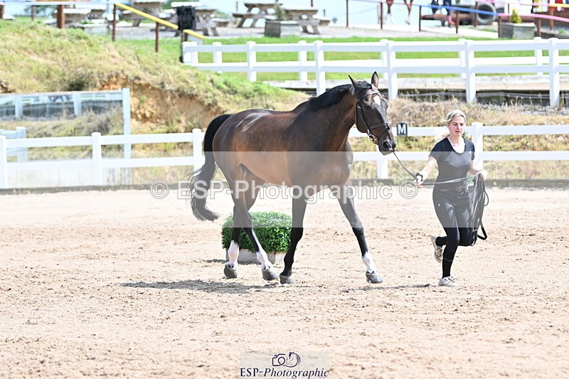 240717A-145236-02359 - Trot Up 2pm to 3pm - This folder is not in time order