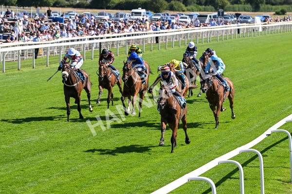 110725-Race 4-Dain Ma Nut In-4264 - Race 4 3.55pm Azets Handicap