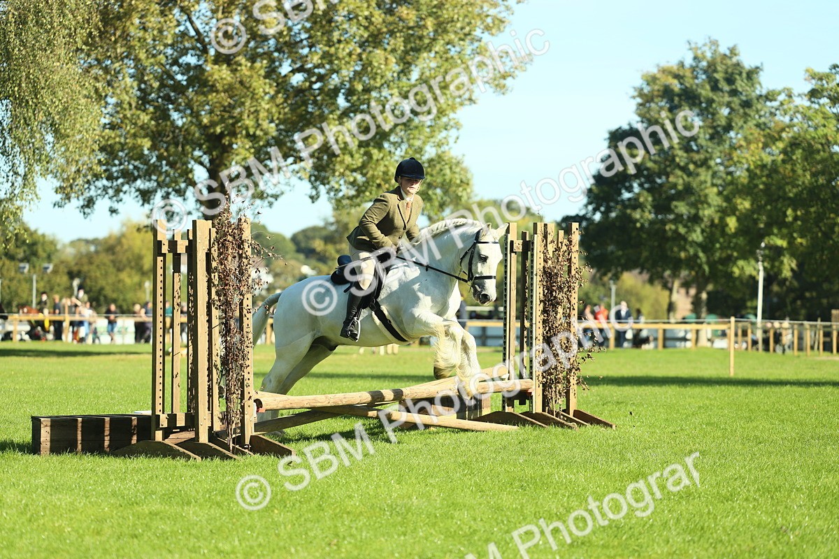SBM_37377 - S29 - Novice & Newcomers Working Hunter Pony