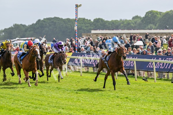 150525-Pride Of Arras-4677 - Race 4 3.45pm Al Basti Equiworld Dubai Dante Stakes