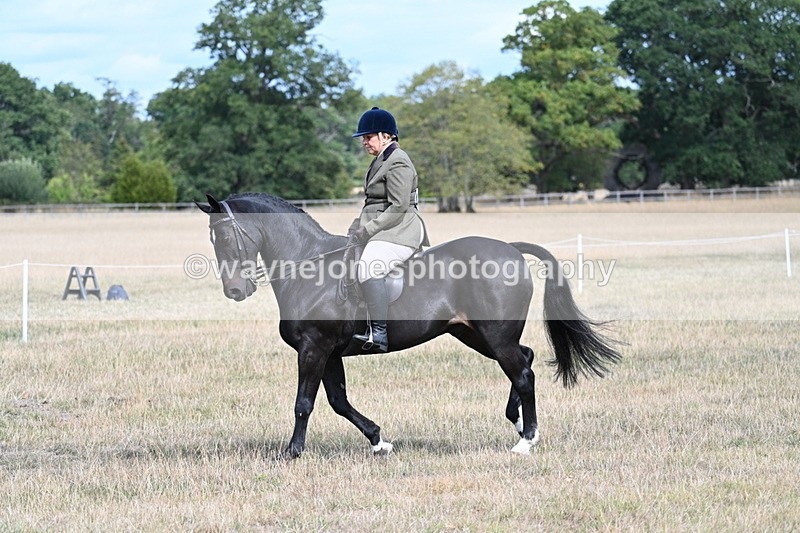 WJ7_6147 - Class 13 Ridden Veterans