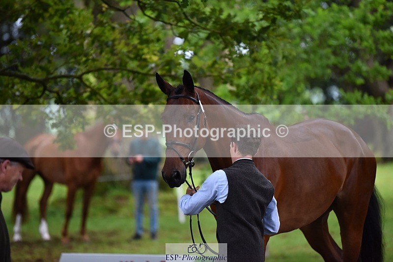 240522-171428-01473 - 256-QUINTUS-Tom_McEwen