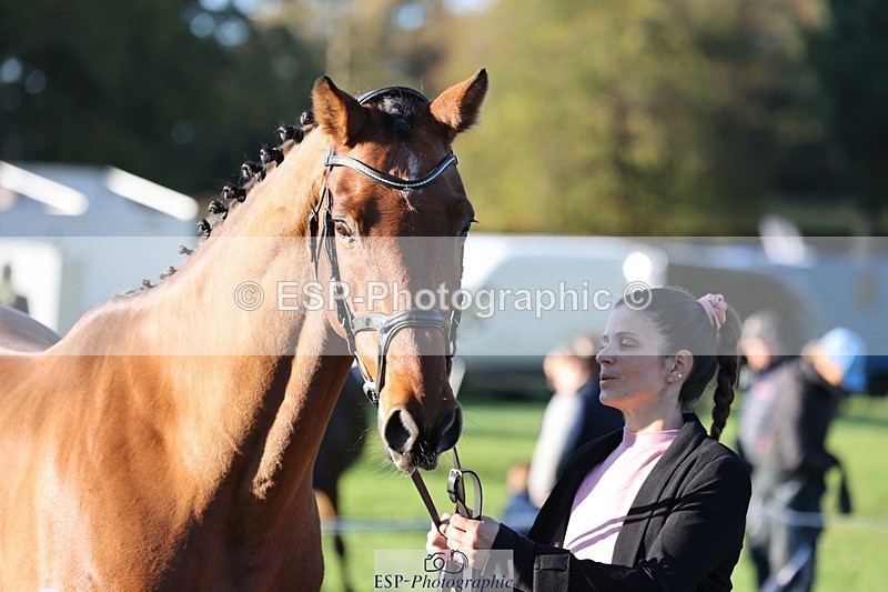 241027-085357-14881 - 301-Ilaria.Serra-DREAM.MACHINE